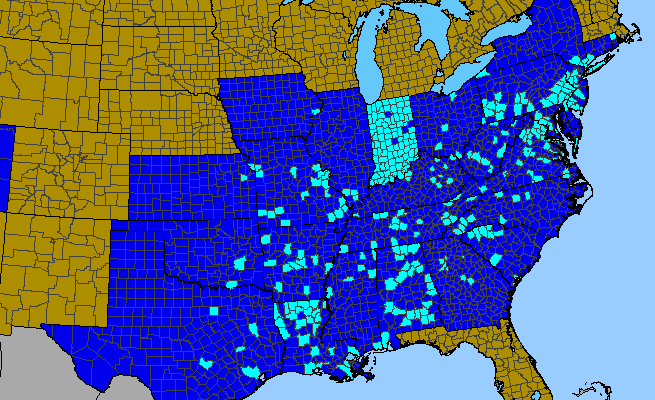 The range of Hibiscus syriacus